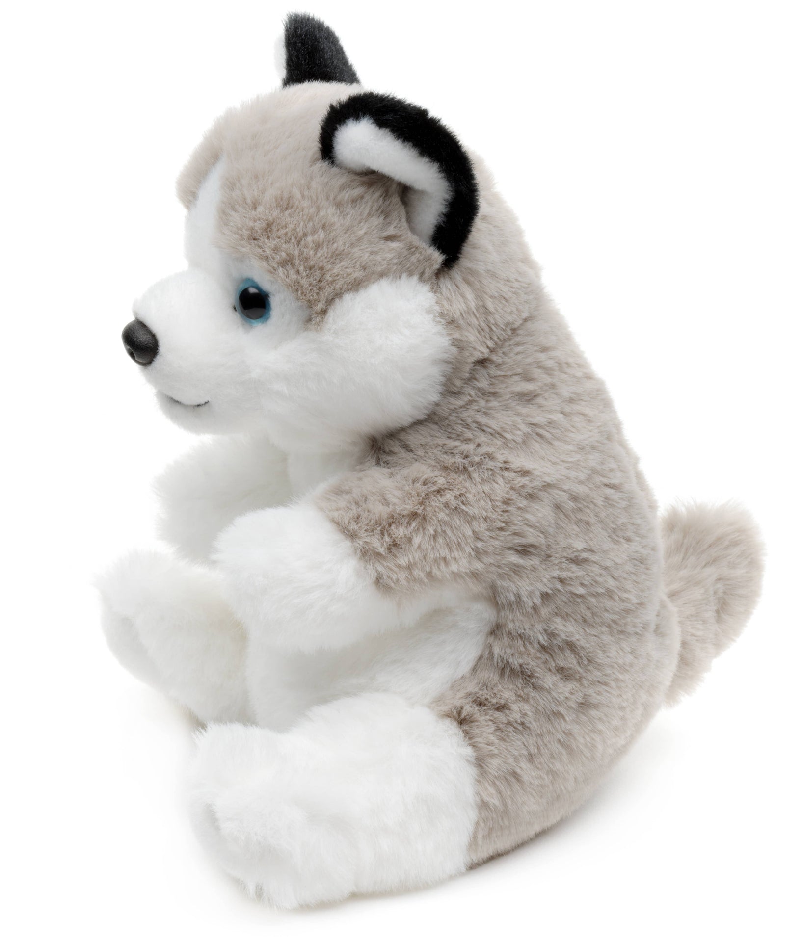 Husky, assis, style kawaii, doudou ou en peluche Uni Toys