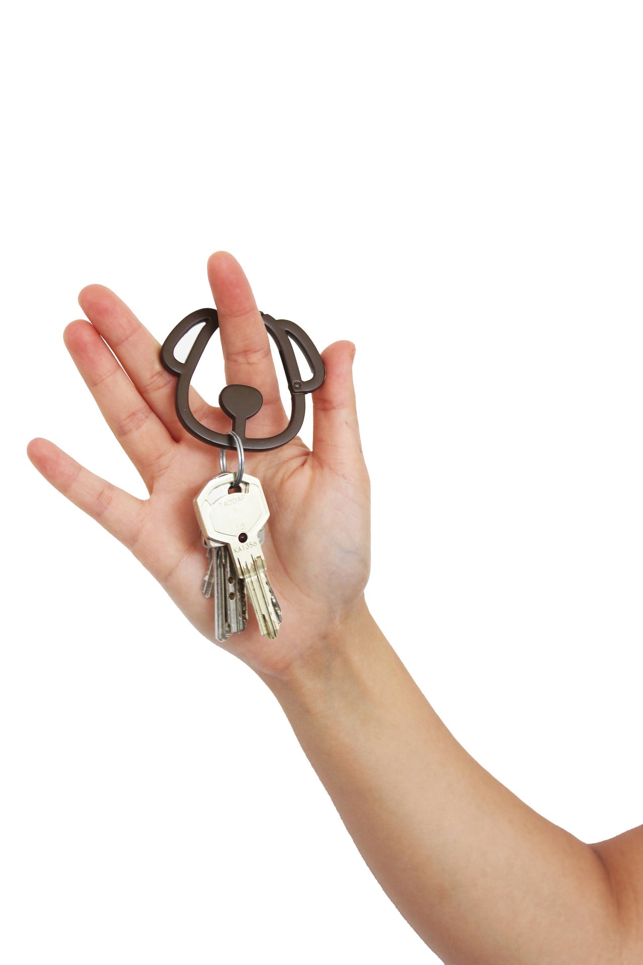 Ensemble de mousquetons Chien marron/beige