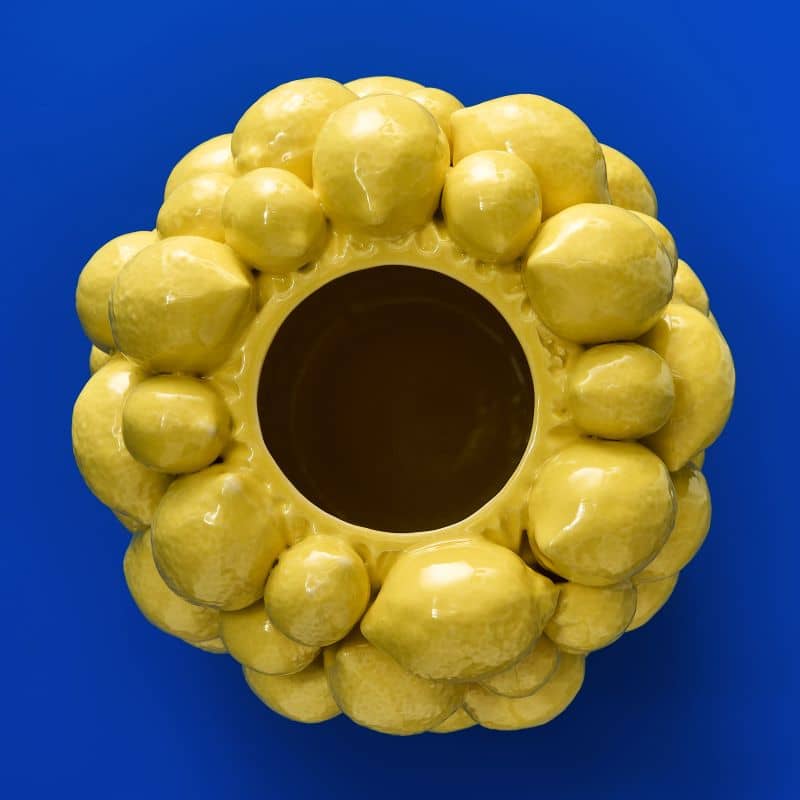 Vase Citrons Jaunes