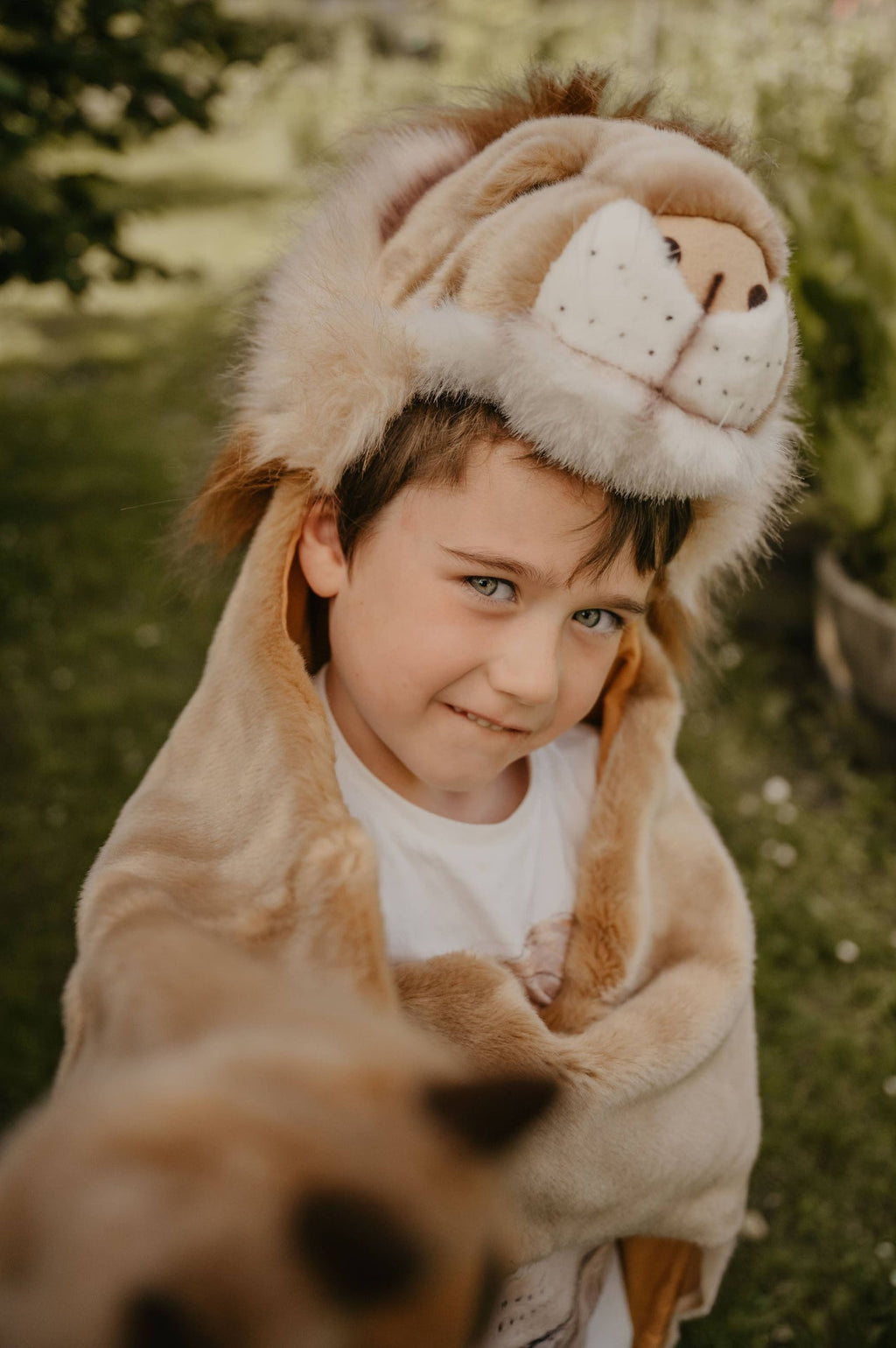 Déguisement Enfant Lion - Wild & Soft