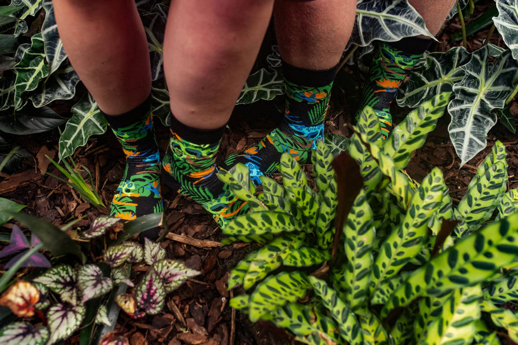 Chaussettes Caméléons