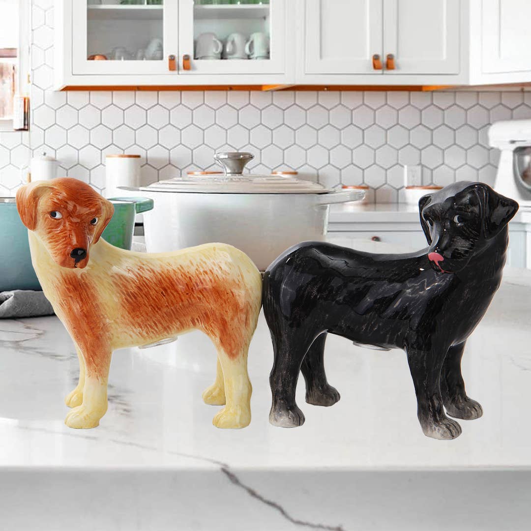 Sel et poivre Labradors