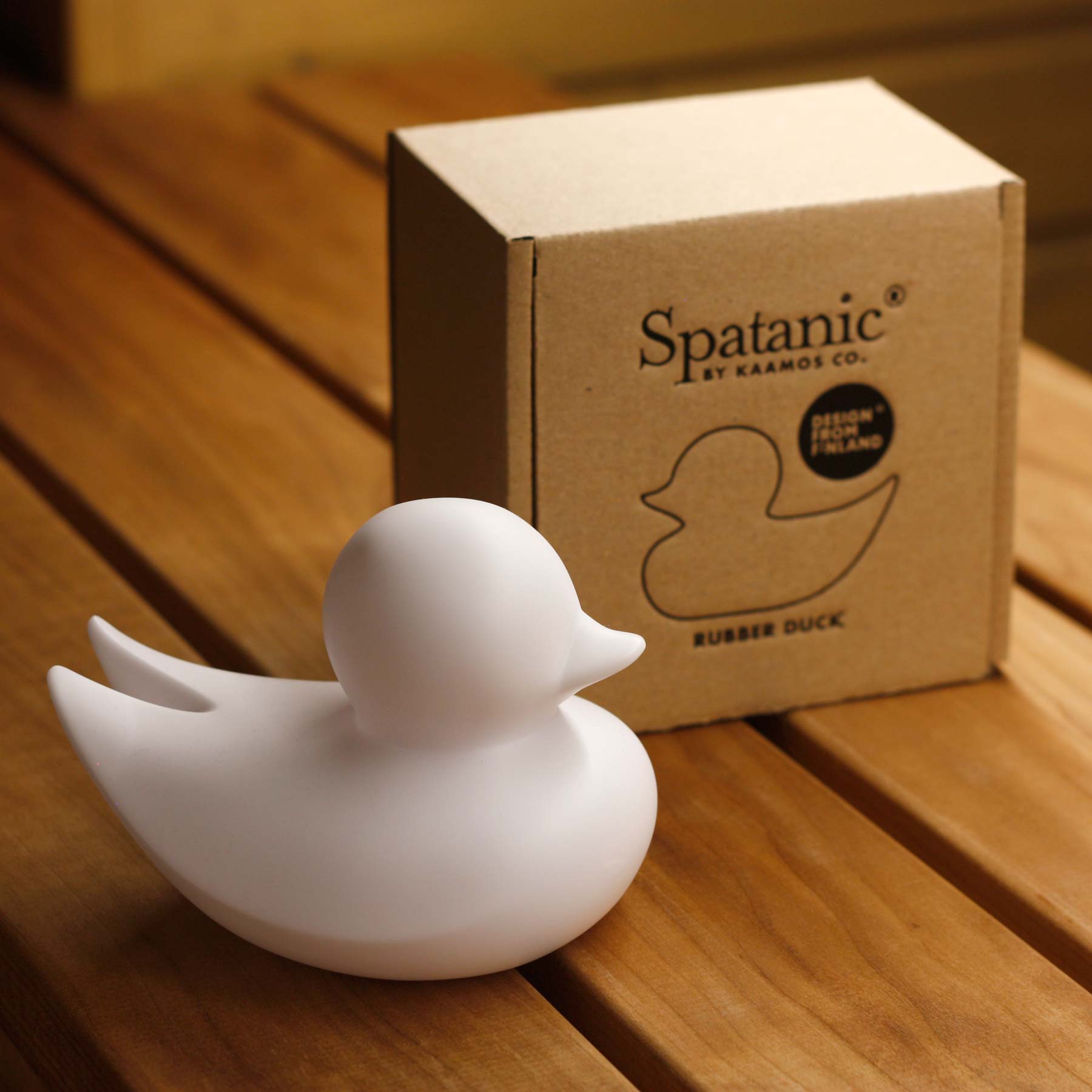 Canard Minimaliste