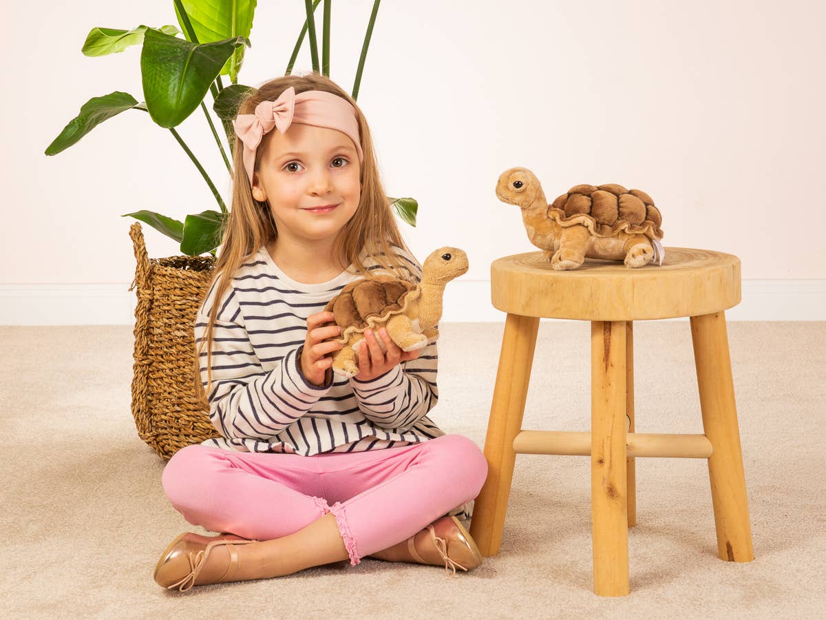 Peluche Tortue