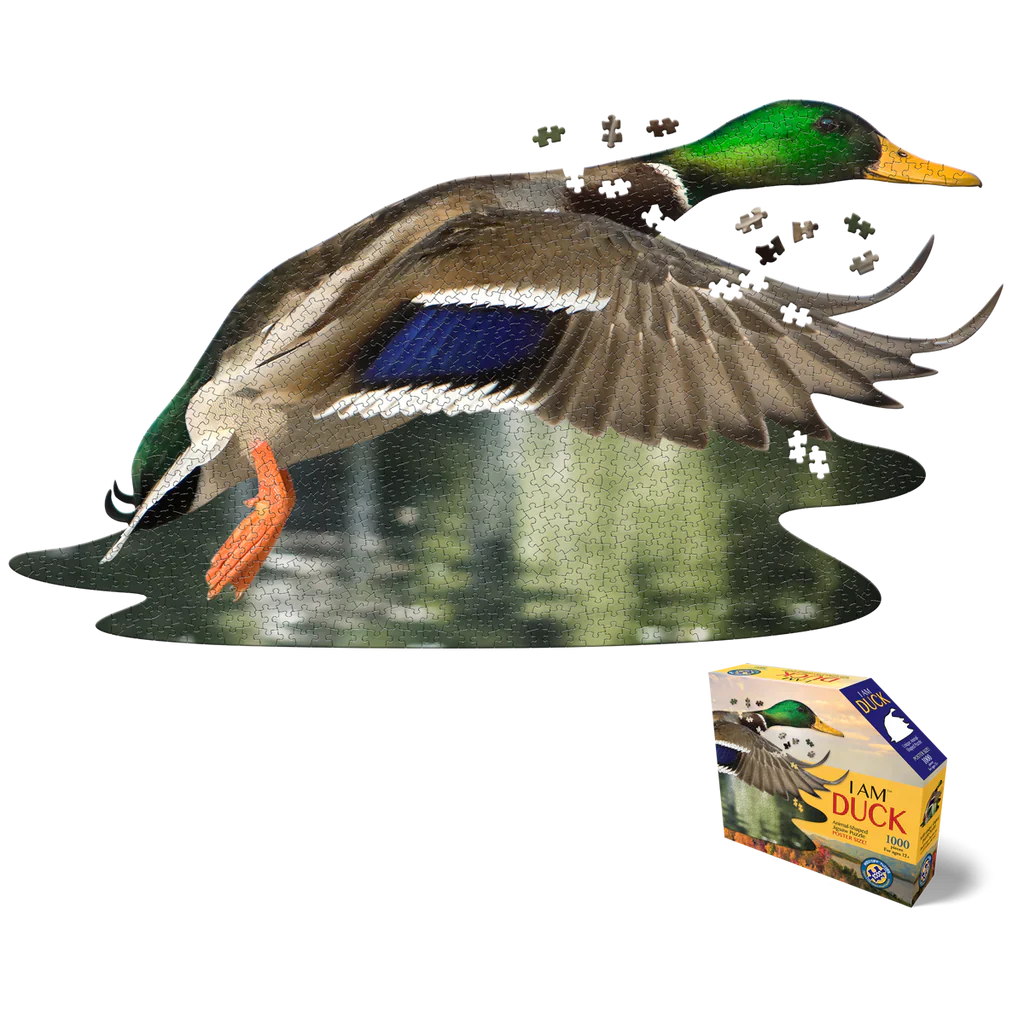 Puzzle Canard Colvert "I Am - Canard" 1000p Madd Capp CoinCaillerie