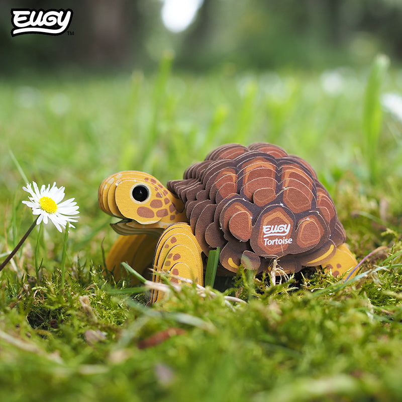 104 Tortue