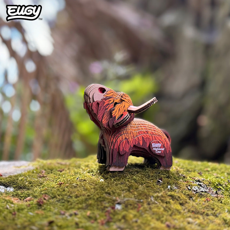 106 Highland Cow
