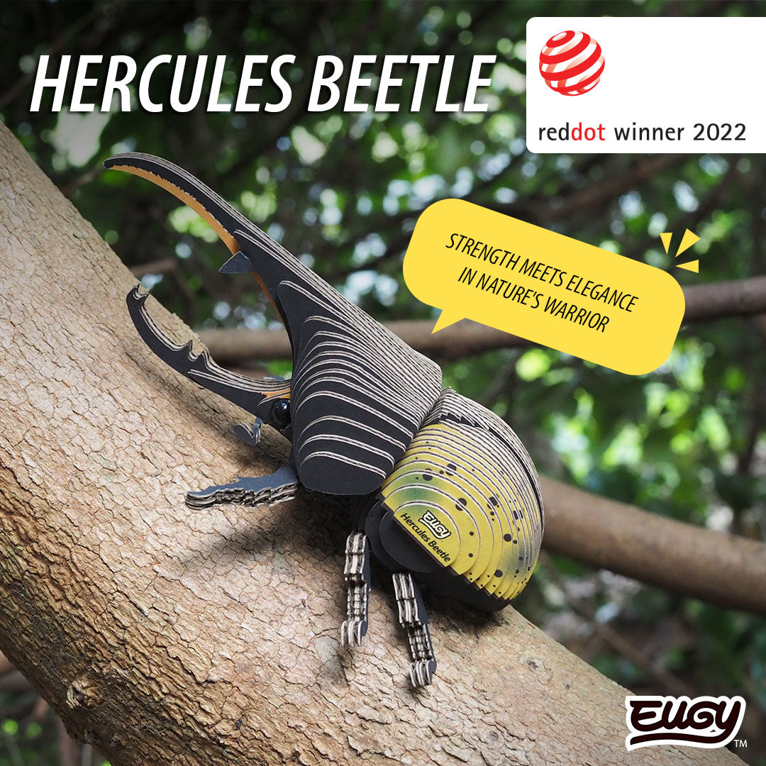 112 Coléoptère Hercule