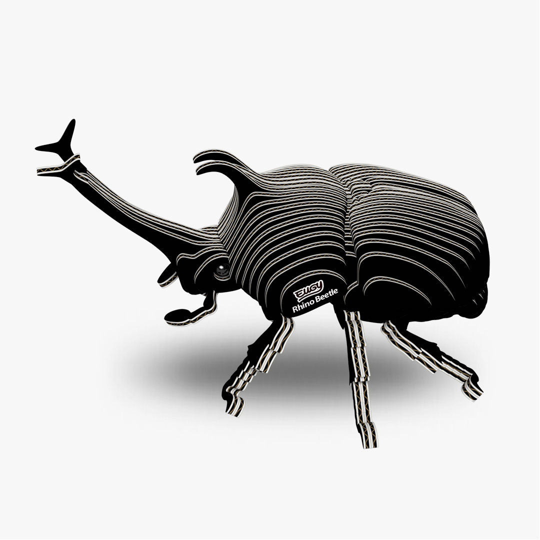 113 Scarabée rhinocéros
