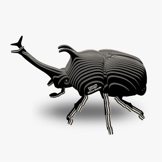 113 Scarabée rhinocéros