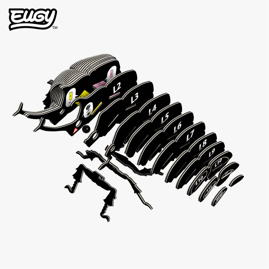 113 Scarabée rhinocéros