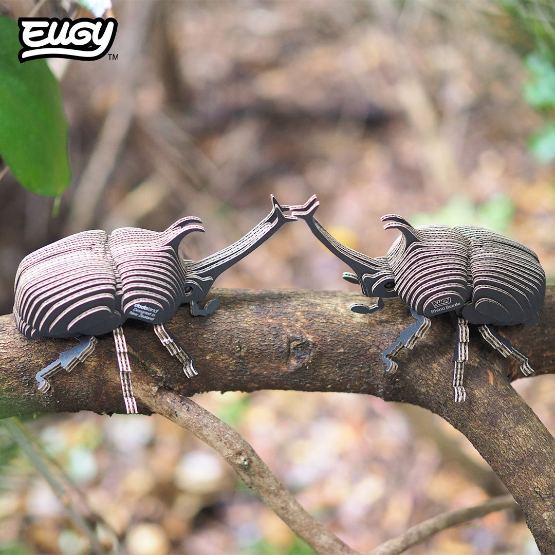 113 Scarabée rhinocéros