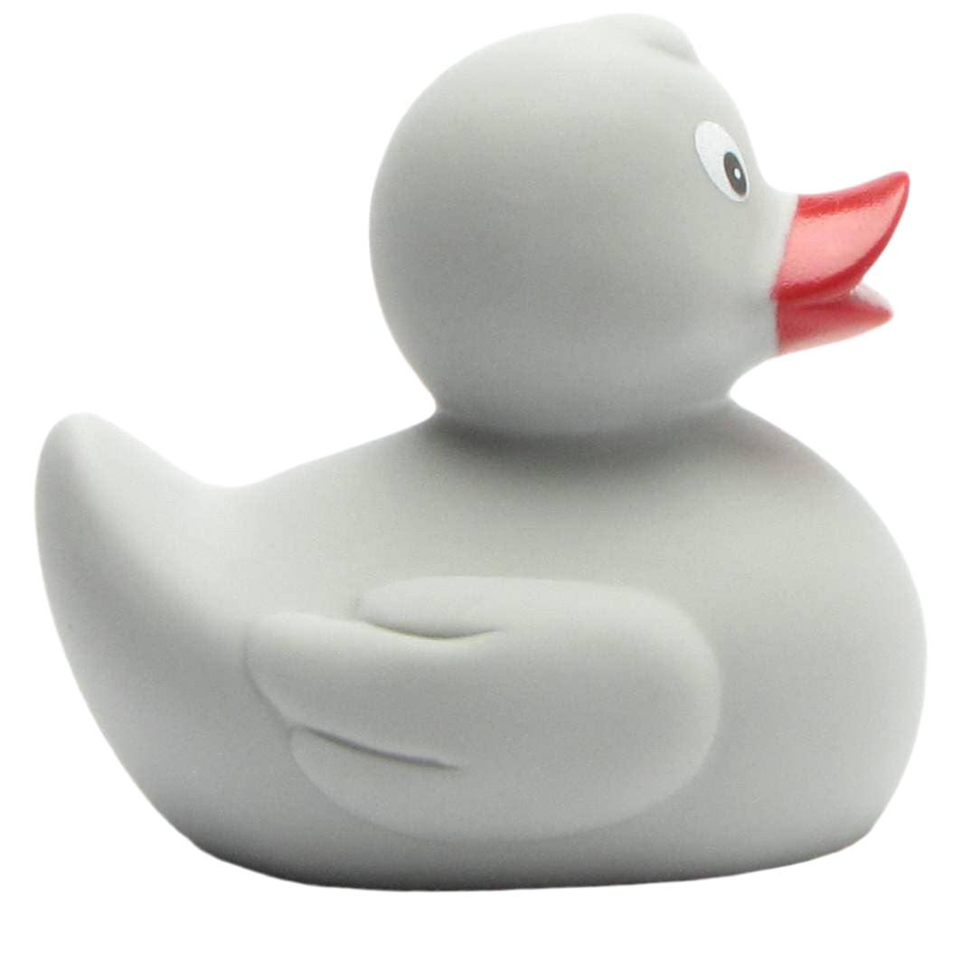 canard classique gris