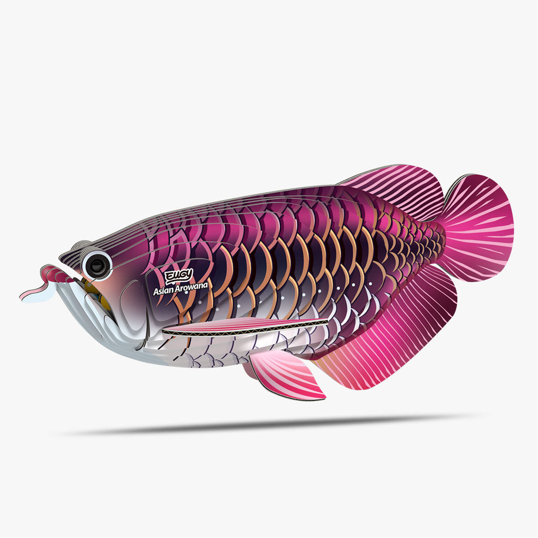 118 Drachenfisch