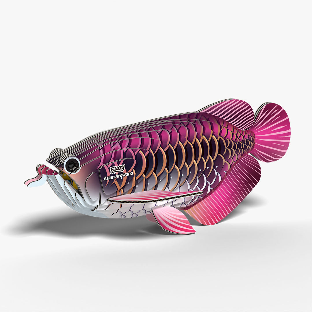 118 Drachenfisch