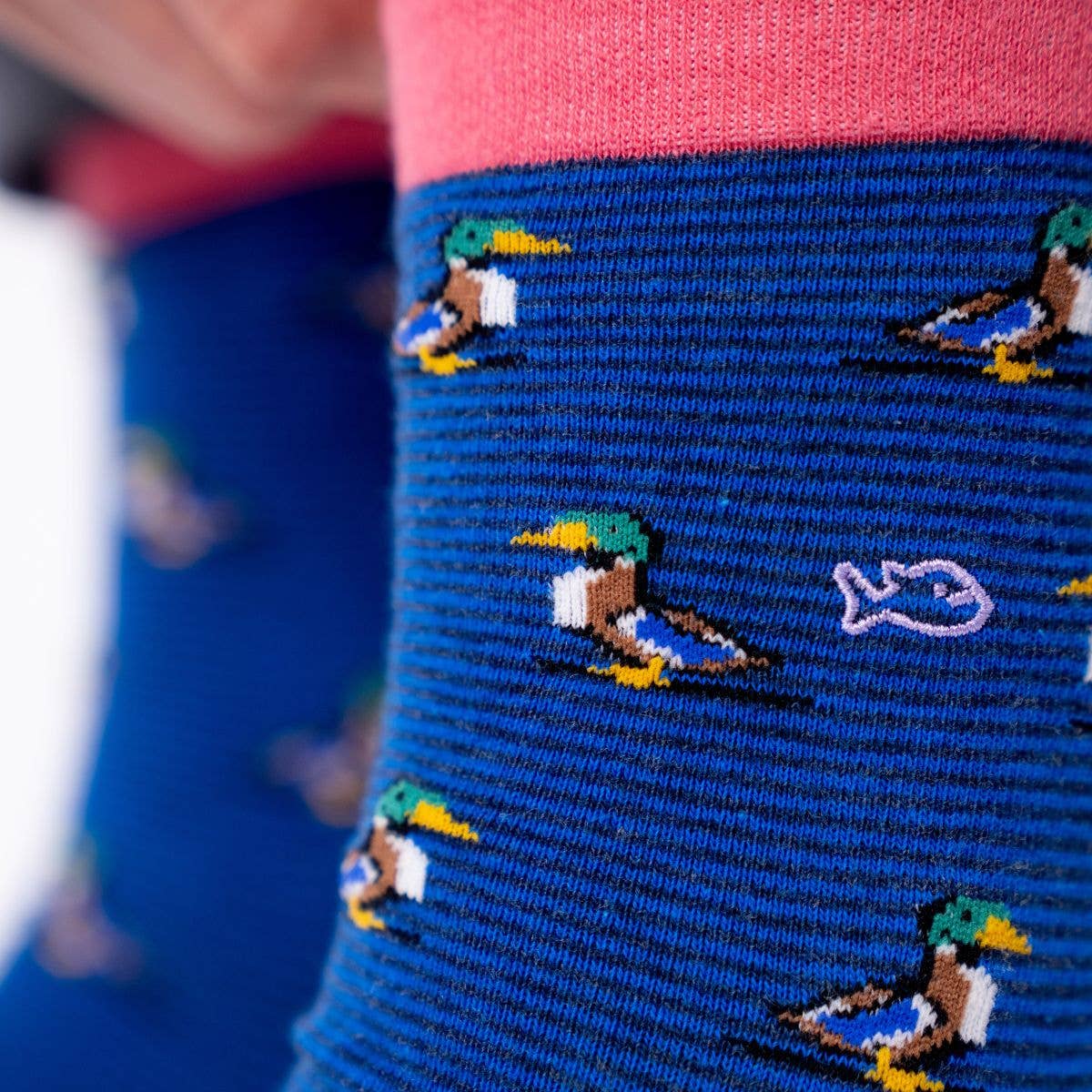 Chaussettes en coton peigné animaux - Canard Colvert