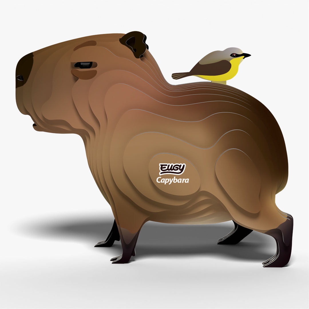 120 Capybara