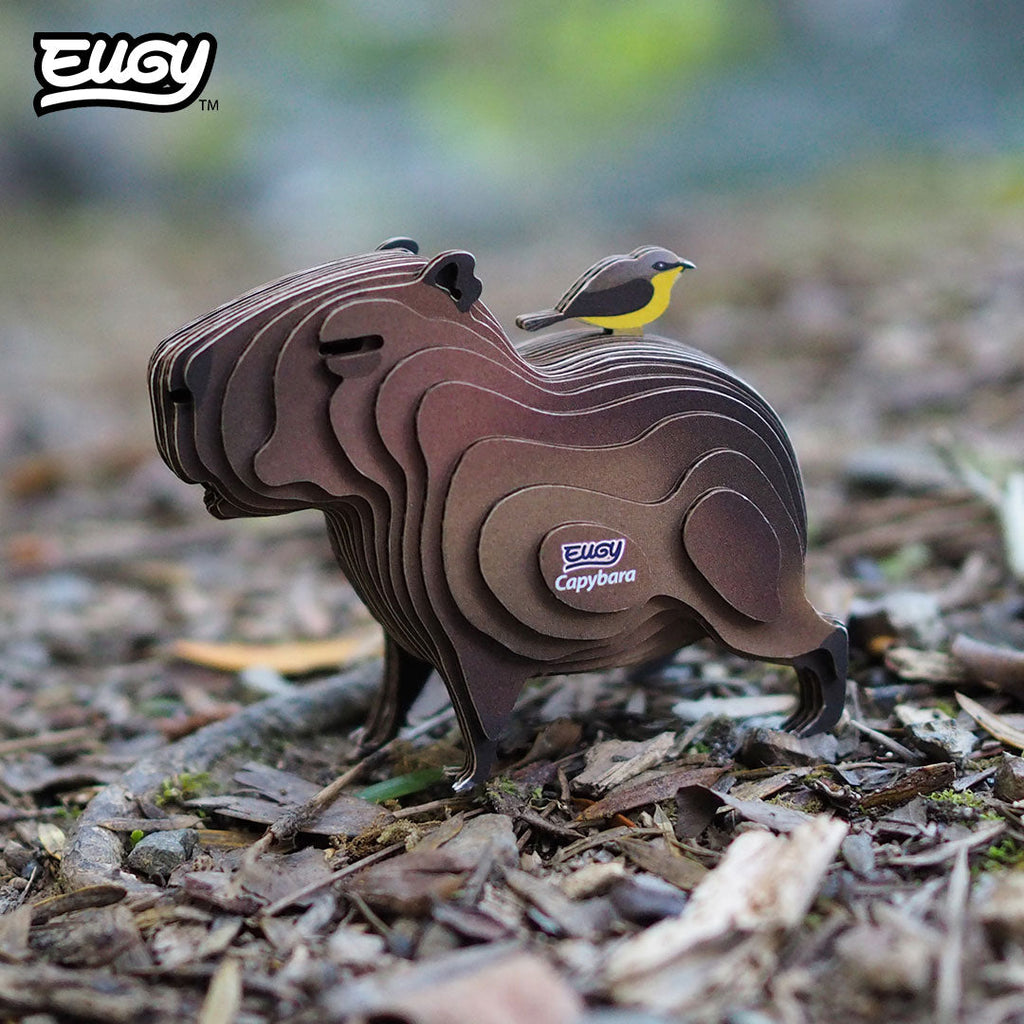 120 Capybara