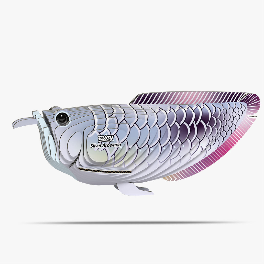 124 Silber-Arowana