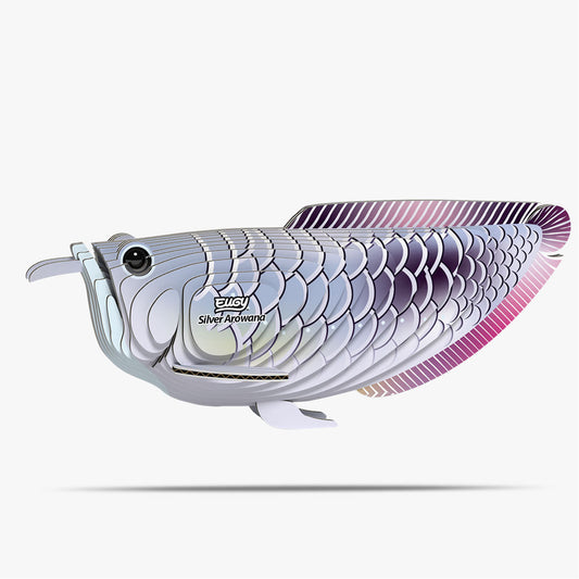 124 Arowana argenté