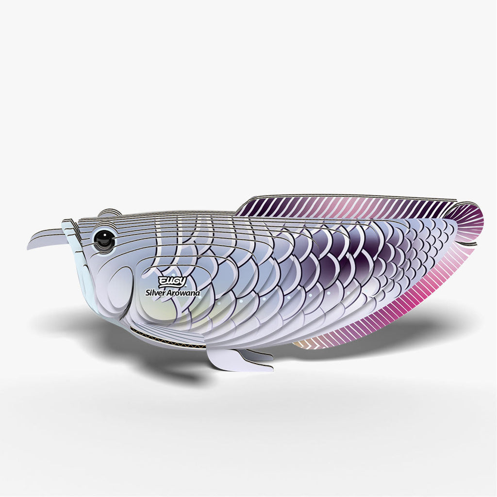124 Arowana argenté