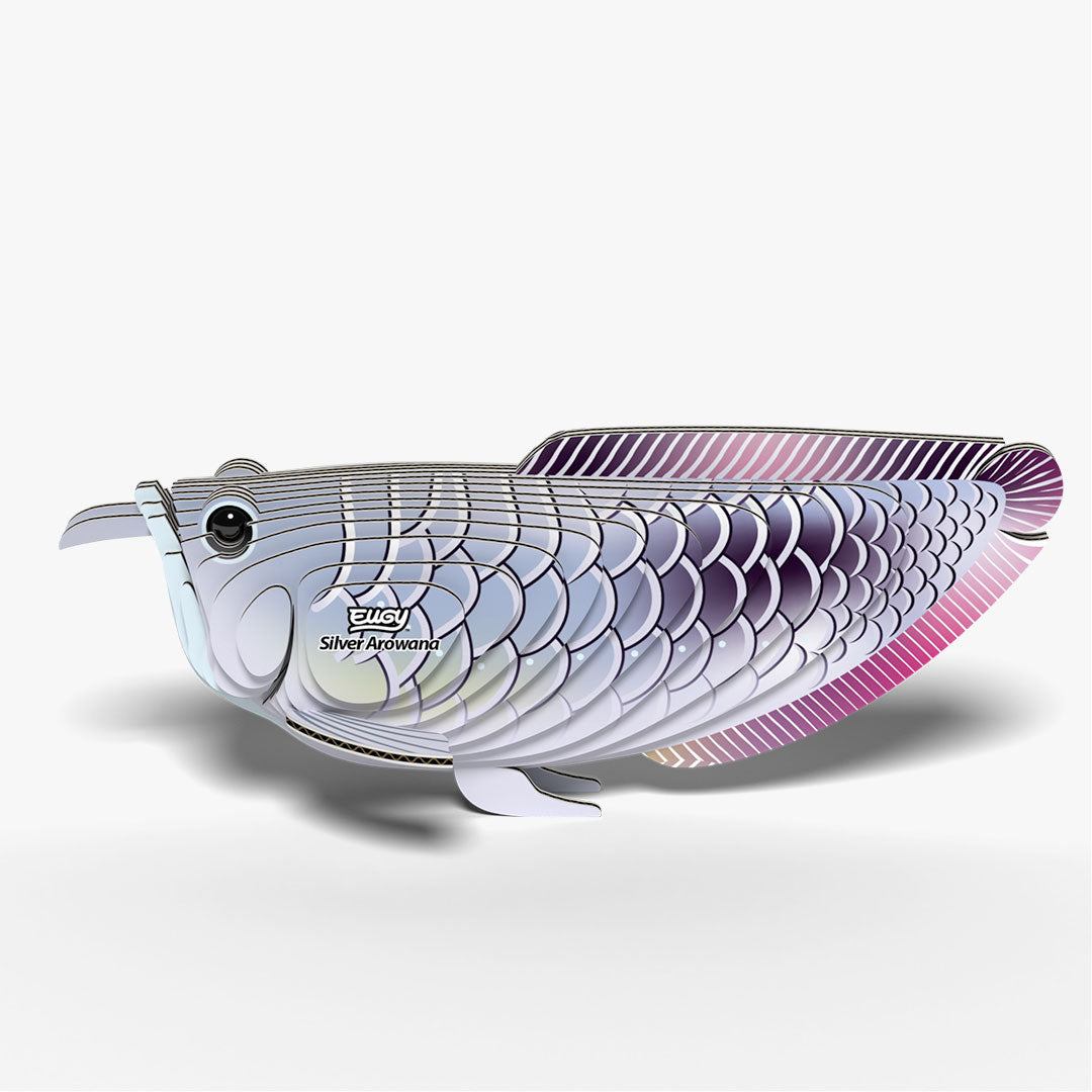 124 Arowana argenté