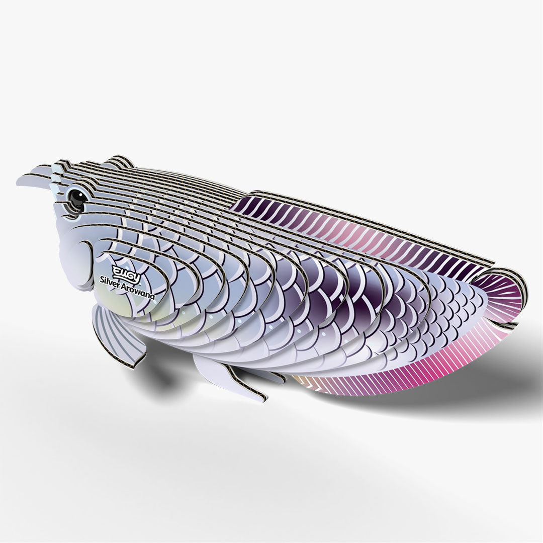 124 Arowana argenté