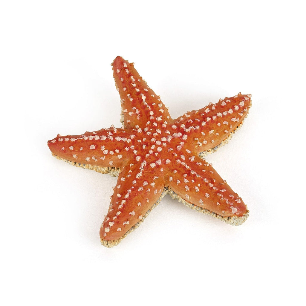 Figurine Etoile de mer Papo - animal marin