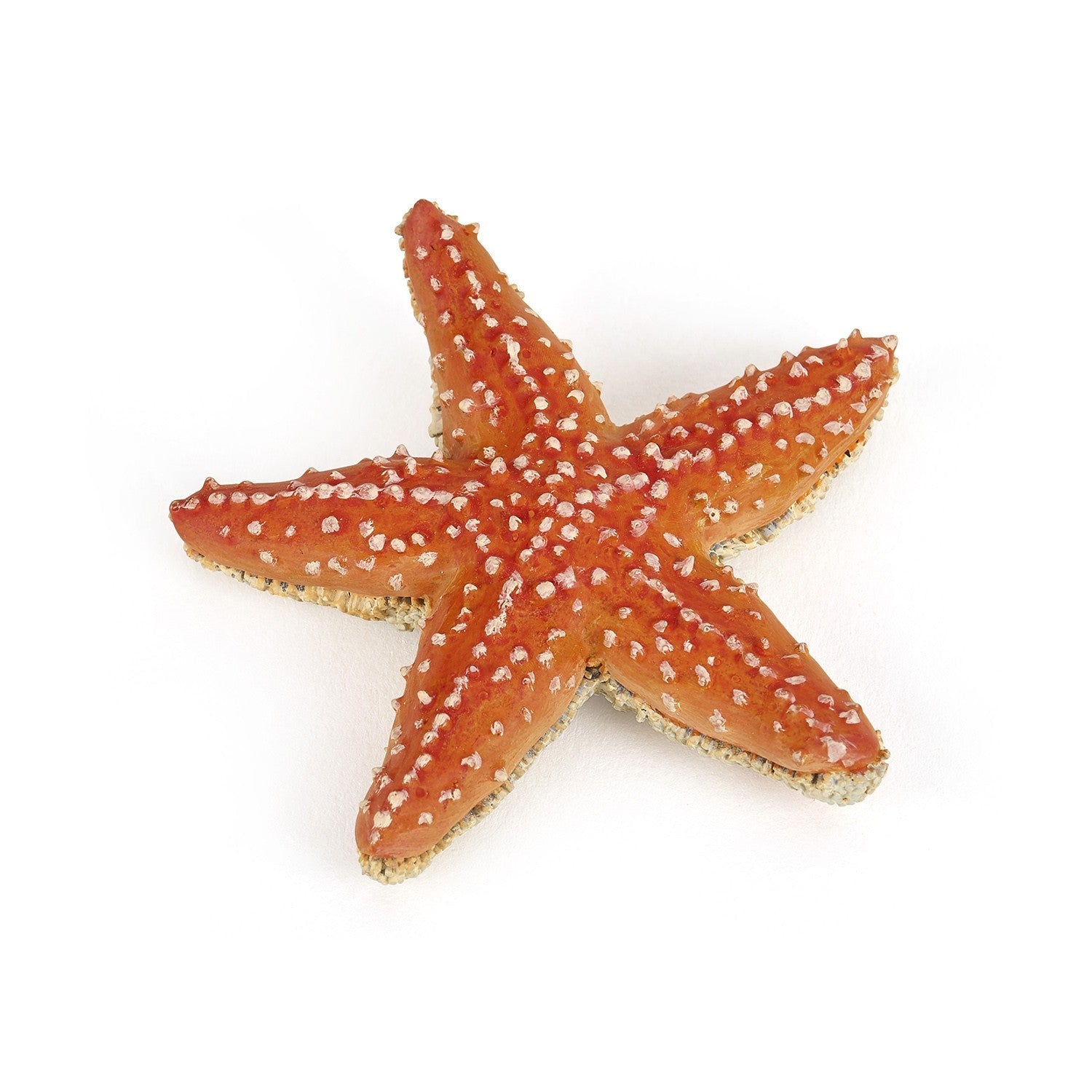 Figurine Etoile de mer Papo - animal marin