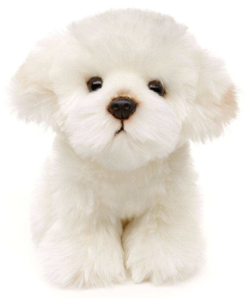 Chien maltais - 18 cm (hauteur) - peluche Uni Toys