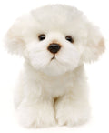 Chien maltais - 18 cm (hauteur) - peluche Uni Toys