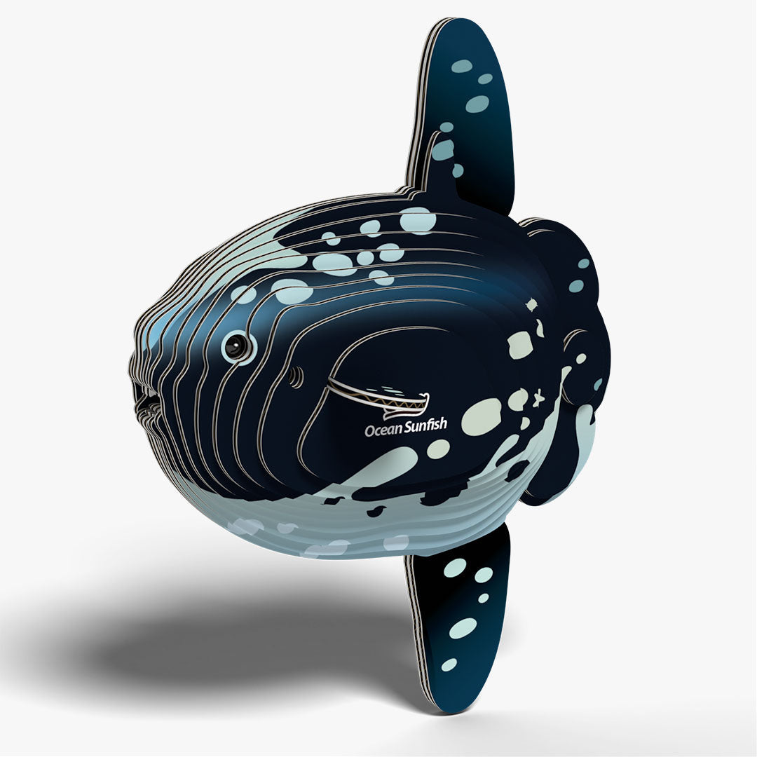 132 Poisson-lune