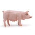 Figurine Truie Papo - animal de la ferme