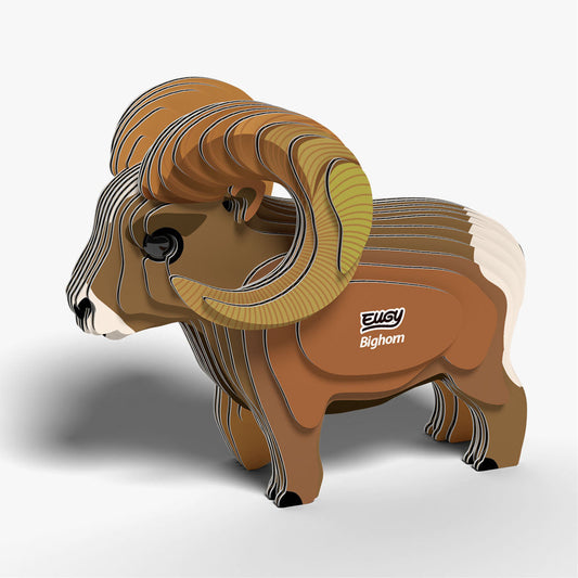 145 Mouflon des Rocheuses