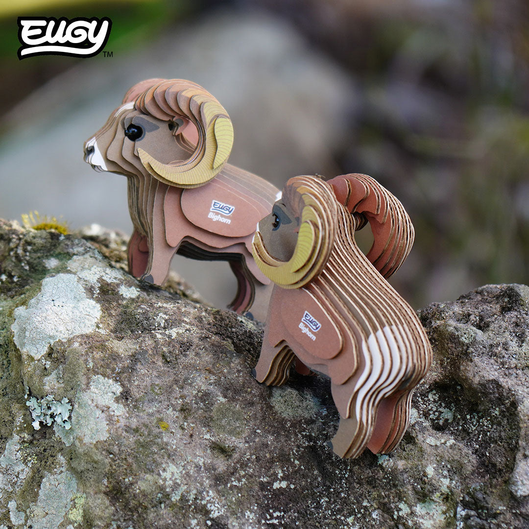 145 Mouflon des Rocheuses