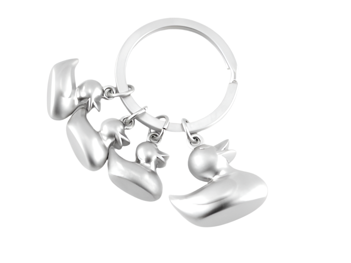 Portachiavi della famiglia delle anatre