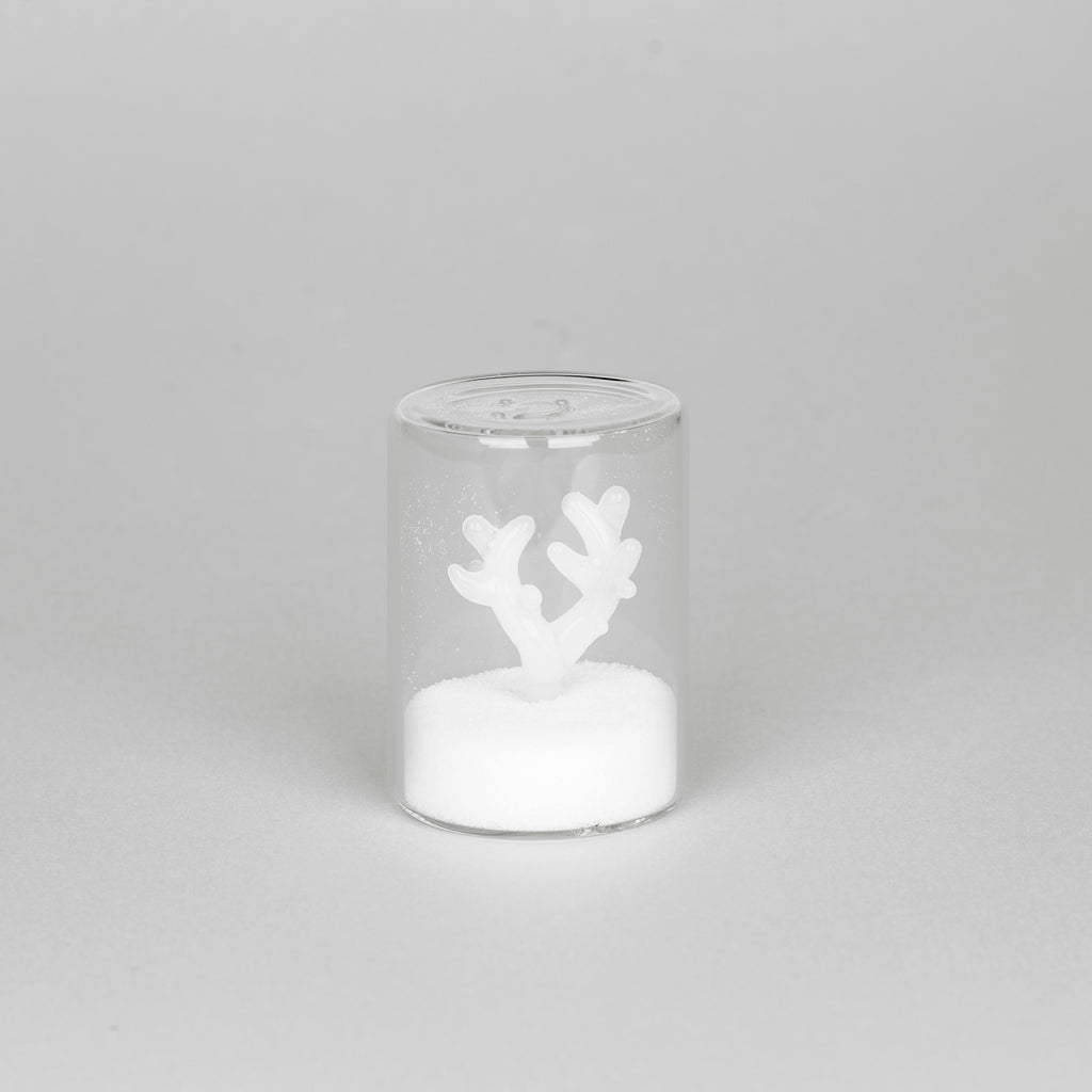 Salière Atlantis Coral