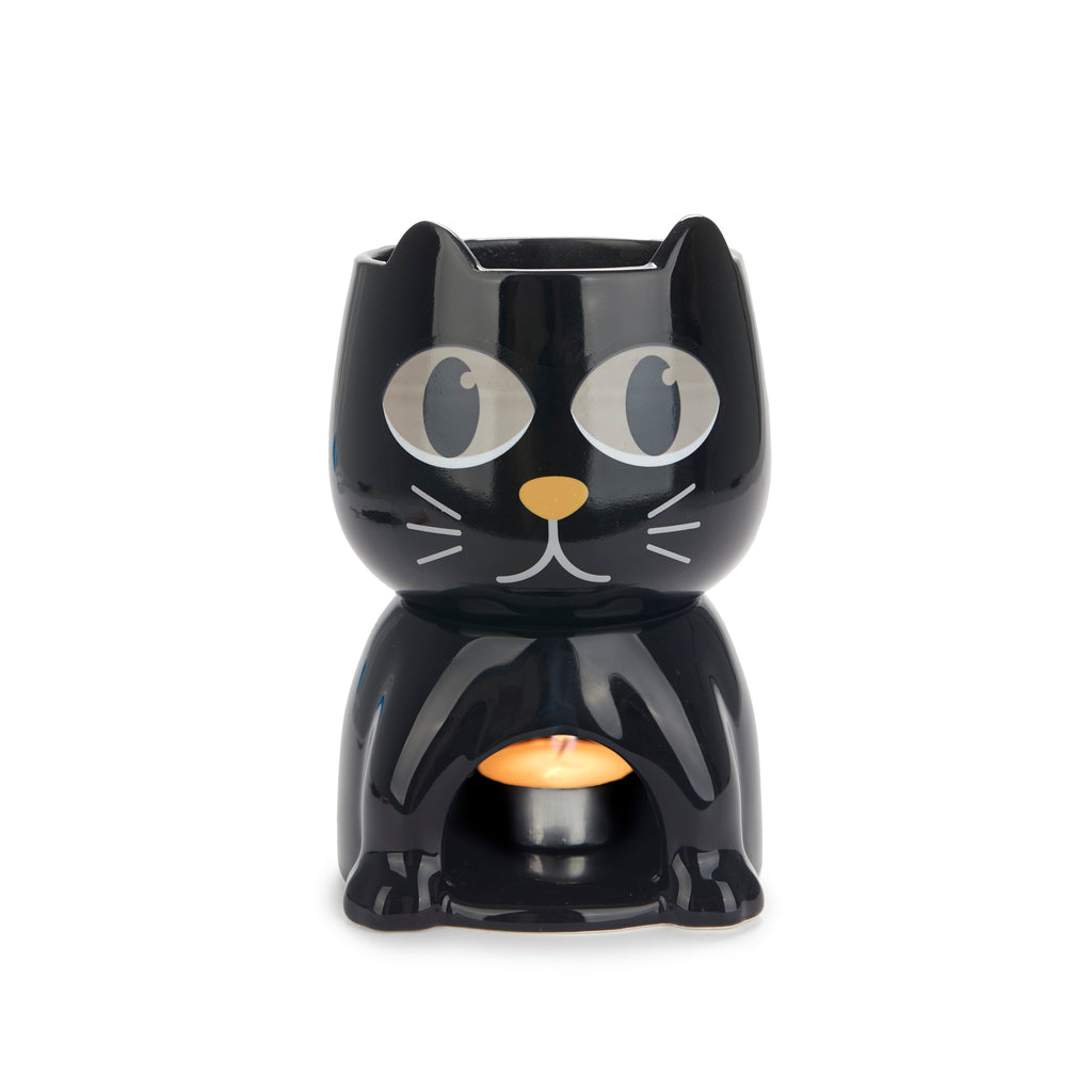 Fondue Wake Cat