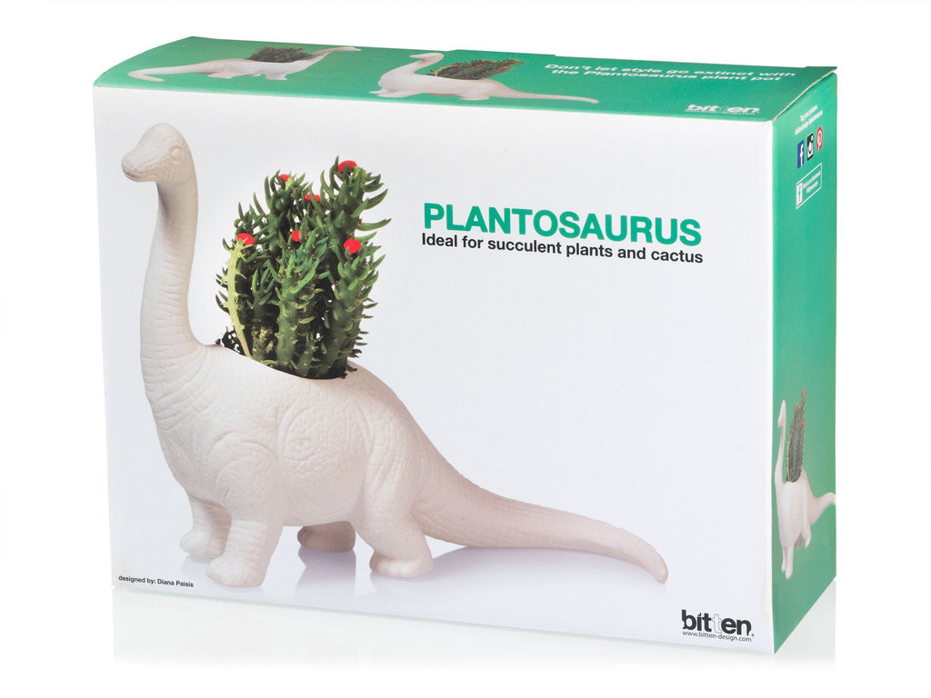 Plantosaurus porcelain dinosaur planter in Bitten Design gift box