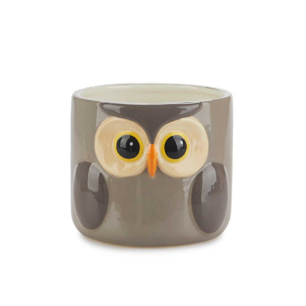 Owl Plant Pot