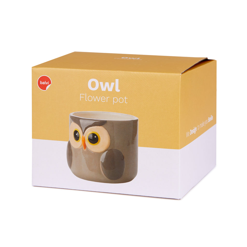 Owl Plant Pot