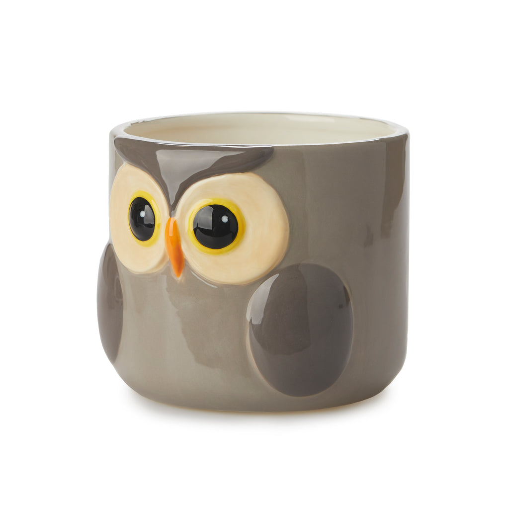Owl Plant Pot