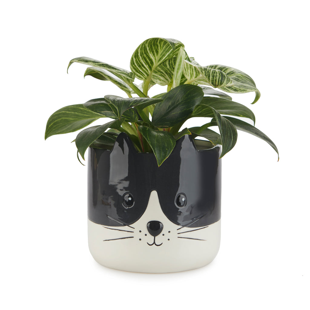 Pot de fleurs Kitty