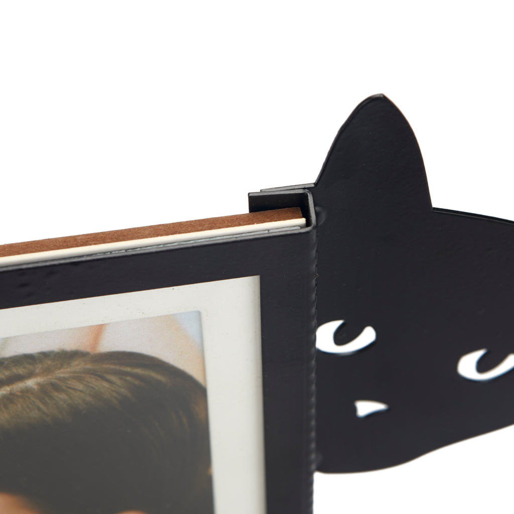 Hidden Cat Photo Frame