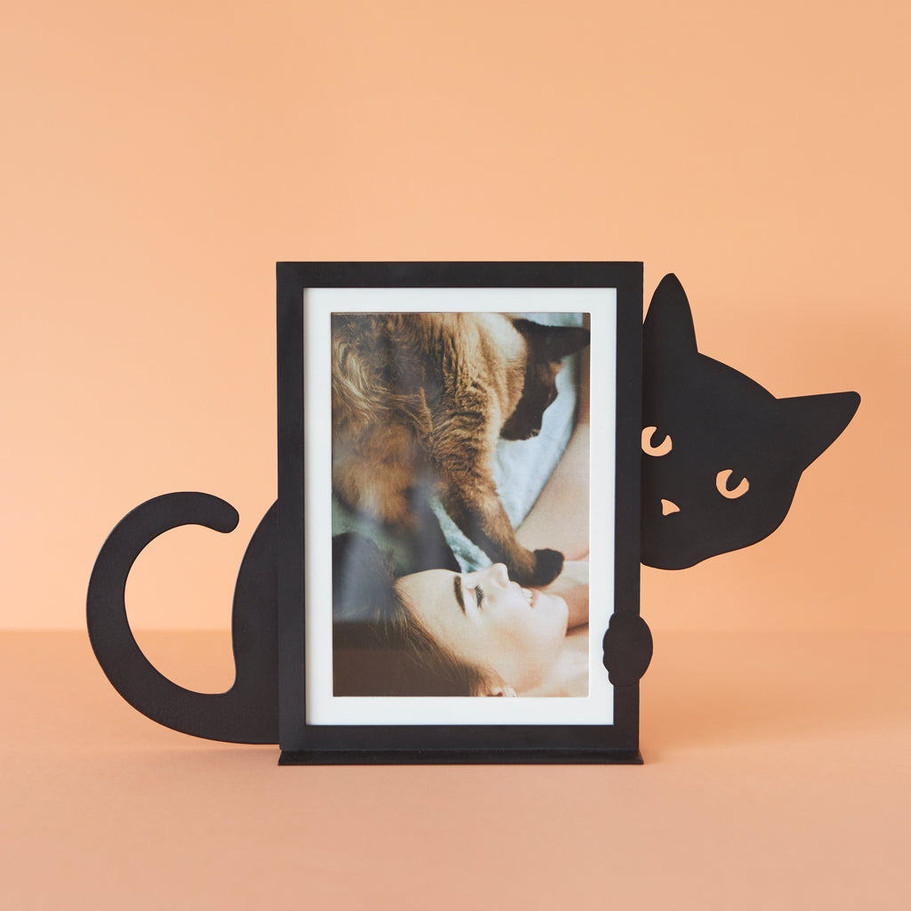 Hidden Cat Photo Frame