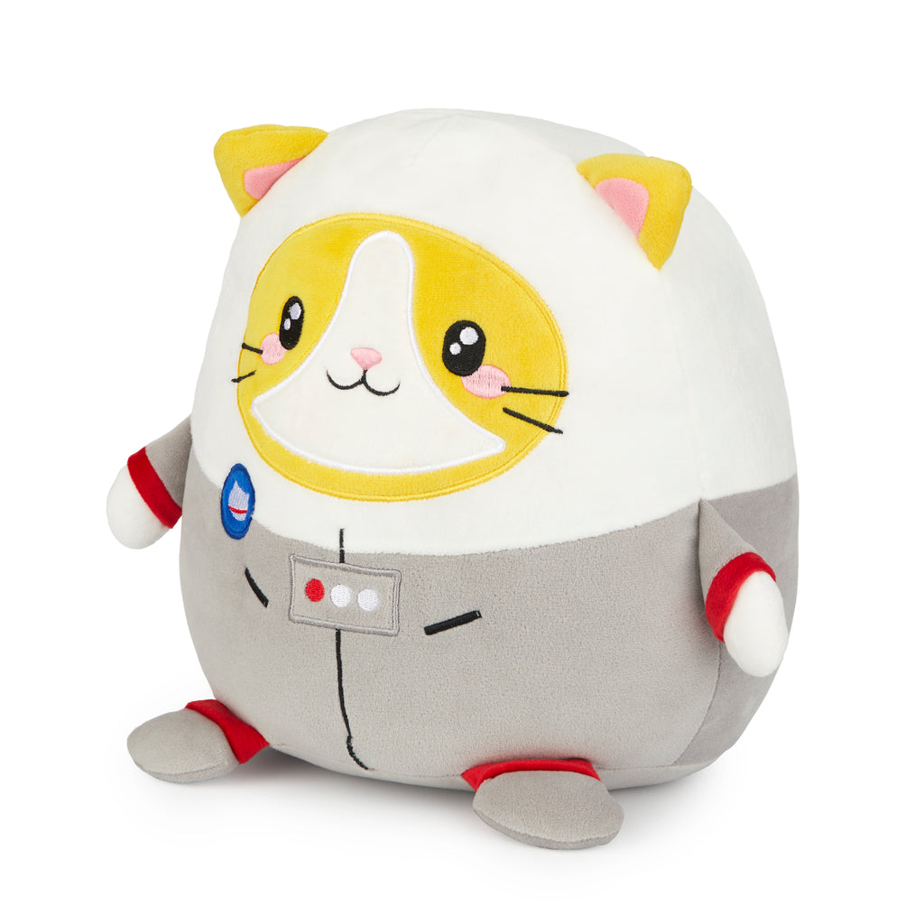 Fluffy Astrocat Cushion