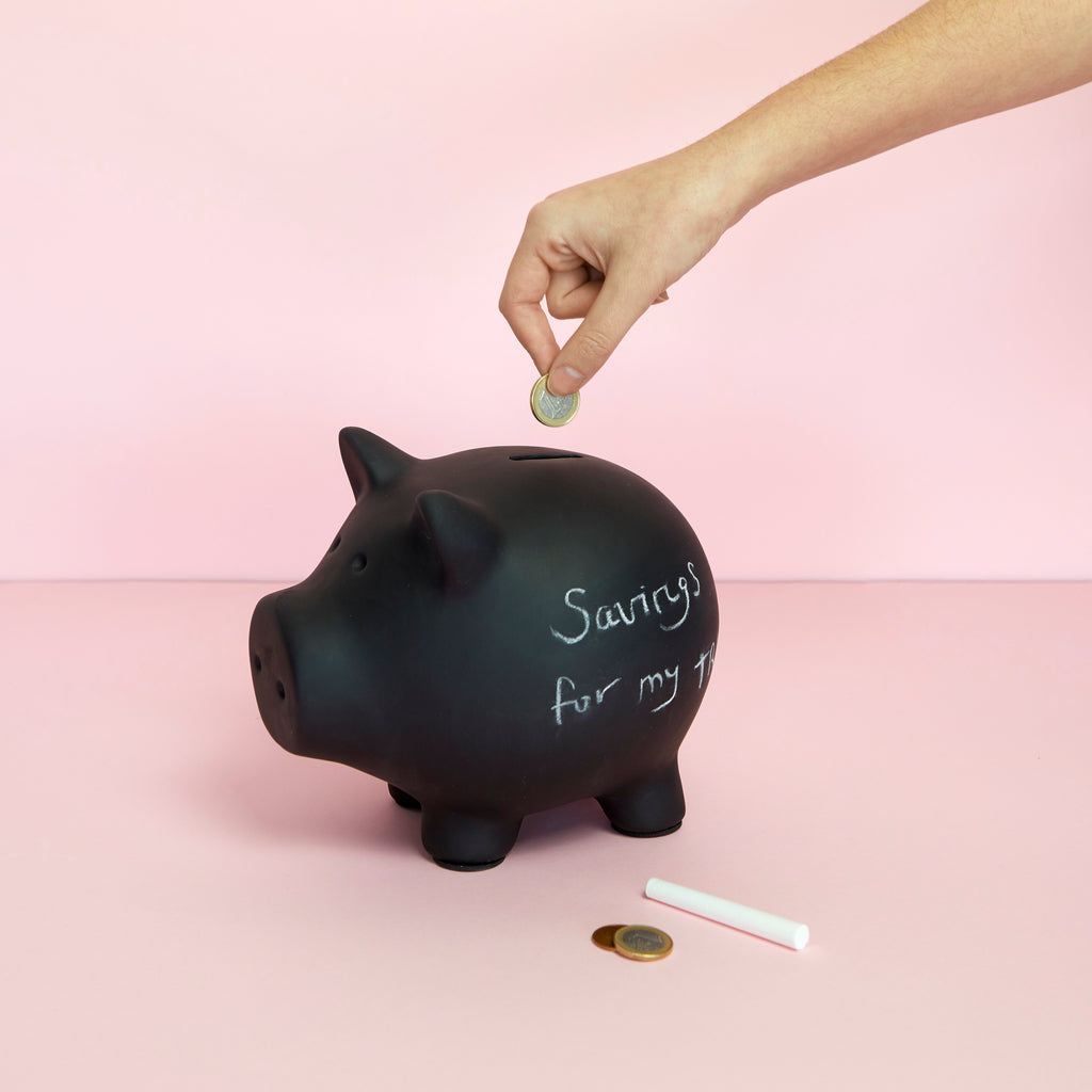 Oink Bank Coin Bank
