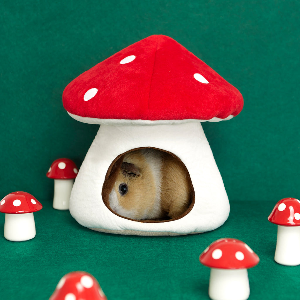 Mushroom Bed