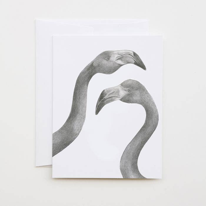 Iggy &amp; Mags Hermano Flamingo Cameo Ticket Card (American Flamingos)