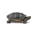 Figurine Tortue de Floride Papo - animal sauvage